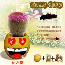 草娃娃 炫酷表情 笑脸 迷你盆栽 创意礼品 青草种植 厂家6元产品