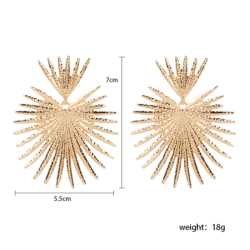 23g Weight Fashion Alloy Earrings