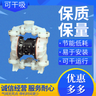 Sandpiper �ٰ۵�Ӹ�Ĥ�� S30 DN80���Ϛ�Ӹ�Ĥ�� ���׸��g��