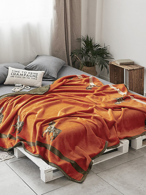 廠家直銷毛毯法萊絨雙層複合雲毯加厚珊瑚絨毯子午睡冬季蓋毯