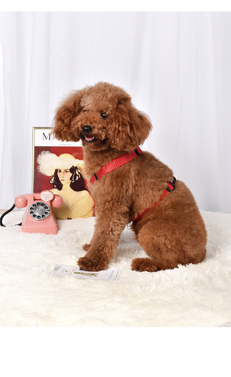 Dog Luminous Leash Pet Vest-style Chest Harness And Dog Leash Small And Medium Pet Products display picture 8