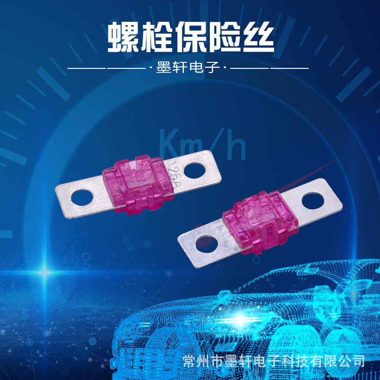 常州厂家供应 螺栓保险丝 汽车保险片大平叉螺栓式车用保险丝