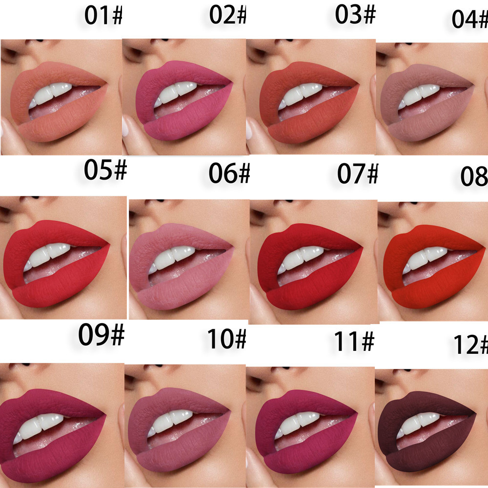 12 color lipstick set