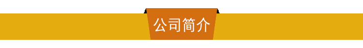 公司简介