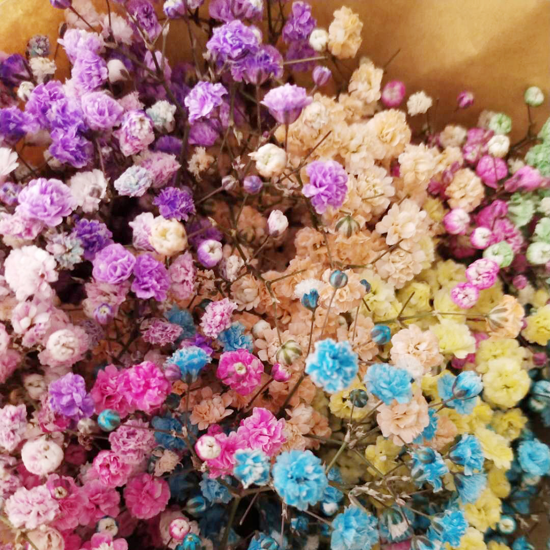 Yunnan flower Colorful stars/Bundle 500 Gram packs A generation of fat Land transportation