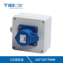 TIBOX ๦16A220V31λ ABS䚤w