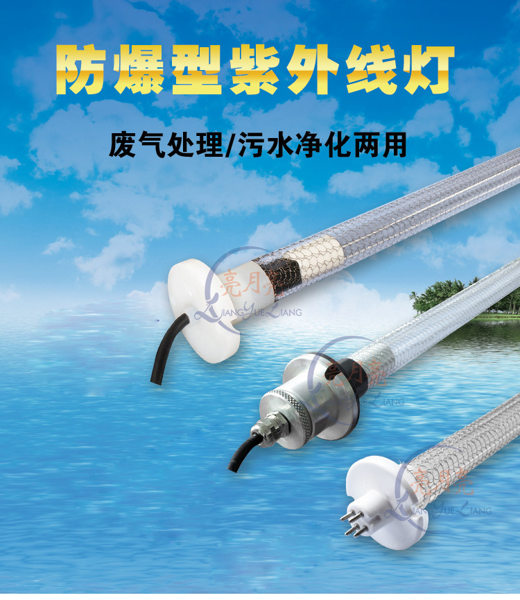 9116485473_1896710937