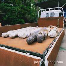 ��LG936�ھ�C����͸� �б��͸� ���ͱ� Һ���ÿ���