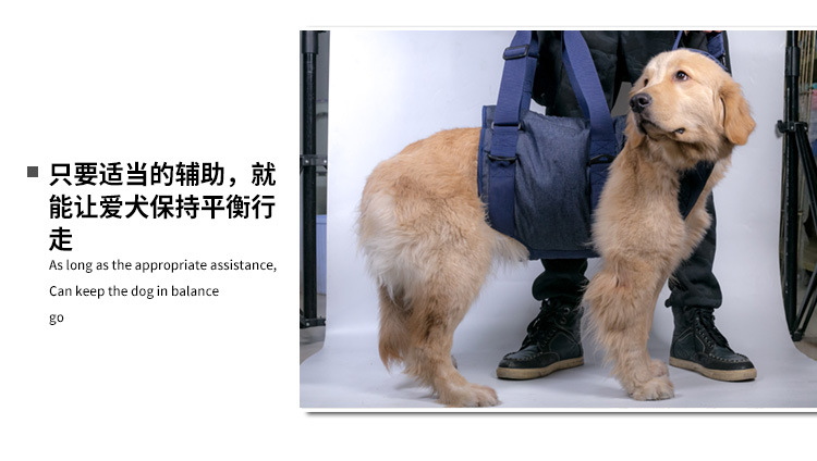 辅助带详情页_11