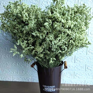 [ˮ����]��ϸɻ�����ˮ���ݲ�ɫˮ�������l�Ҿӿ͏d�b��~�}�ɻ�