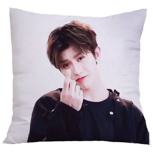 diy pillow design, customized photo, real person sofa logo, cushion cushion, sofa custom car pillow