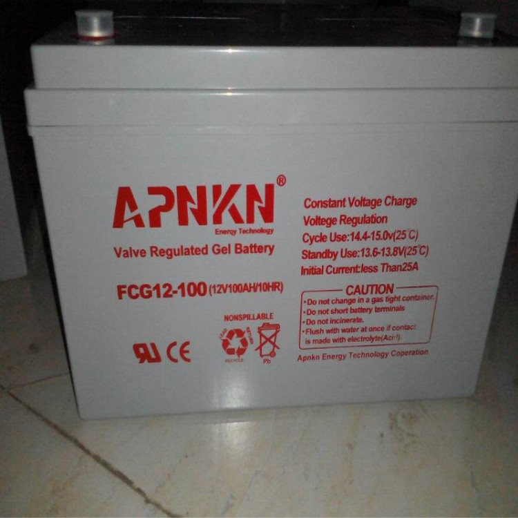 APNKN品克蓄电池FCG12-100(12V100AH/10HR)格UPS电源直流屏