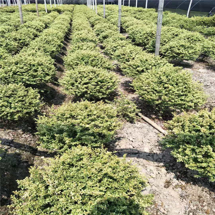 微信图片_20190924001043