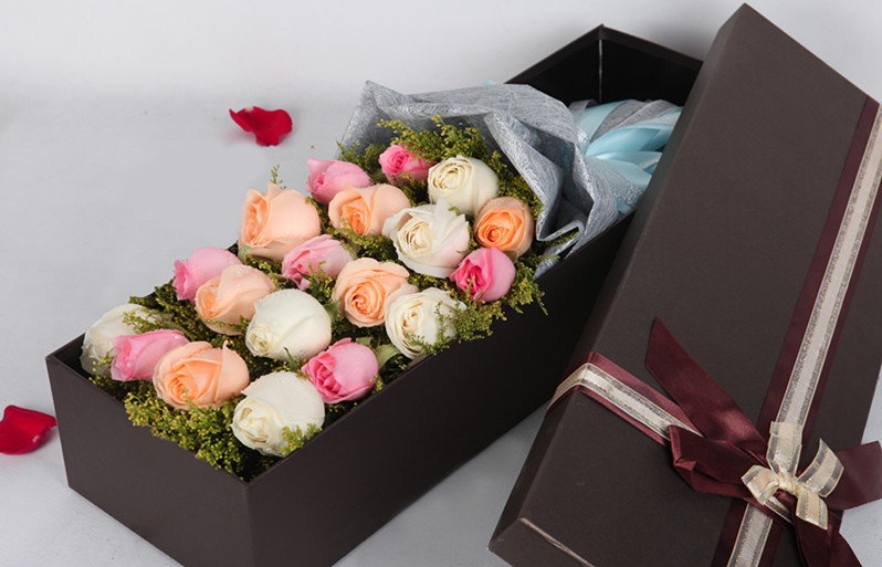 2887917321_129365353