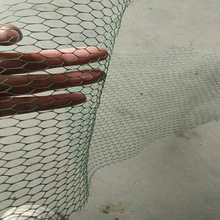 ���I���a�N��ֲ���o�¾G�����Sֲ���WƷ�NҎ���Rȫ��������ֲ���W