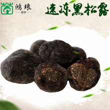 云南速冻黑松露3-4cm全成熟黑芯250g 冰鲜块菌产地批发野生菌菇