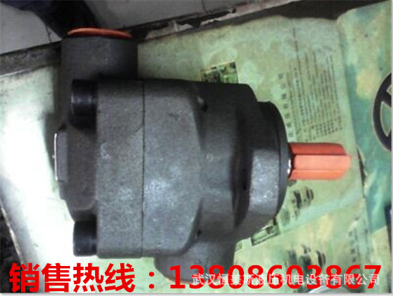 定量叶片油泵柱塞泵PVB15-RSY-20-CM-11