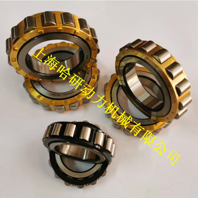 圆柱滚柱RN2204E.M1轴承 RN2204E.TVP2轴承 RN2204E圆柱滚子轴承