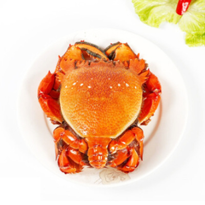 产地货源澳洲冷冻老虎蟹一件20斤贵妃蟹海鲜水产旭蟹大海蟹咖啡蟹|ms