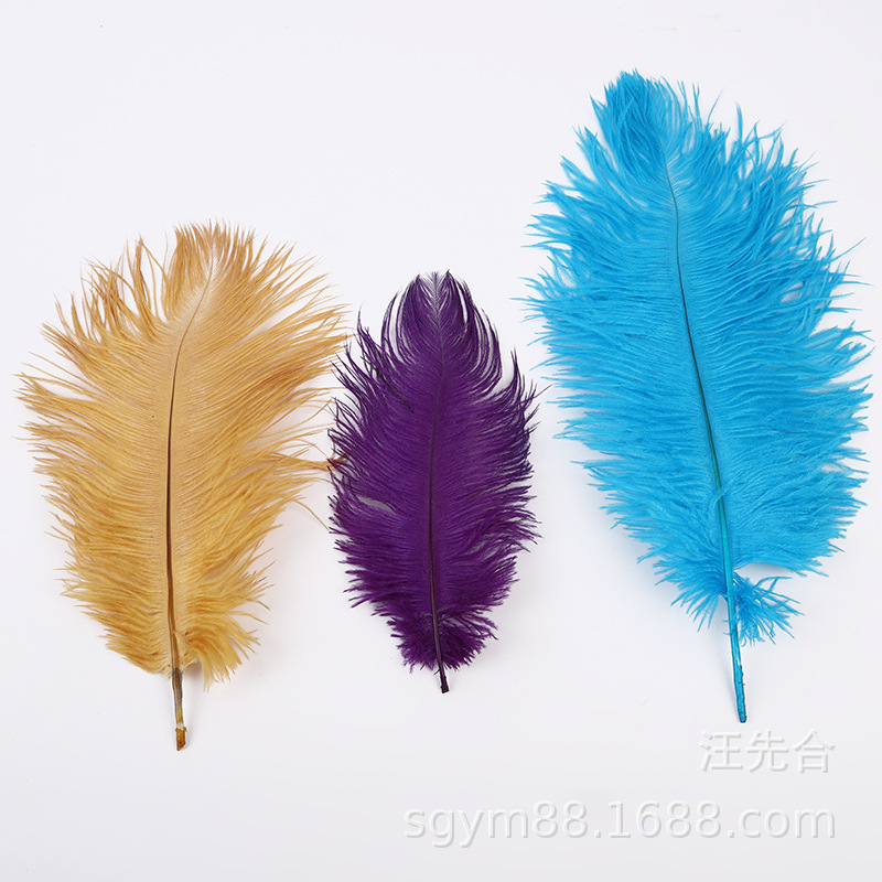 鸵鸟毛 45-50公分的 不等尺寸 颜色自选 用于舞台，服装，详情图2
