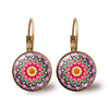 Accessory, glossy earrings, suitable for import, European style, with gem, wholesale