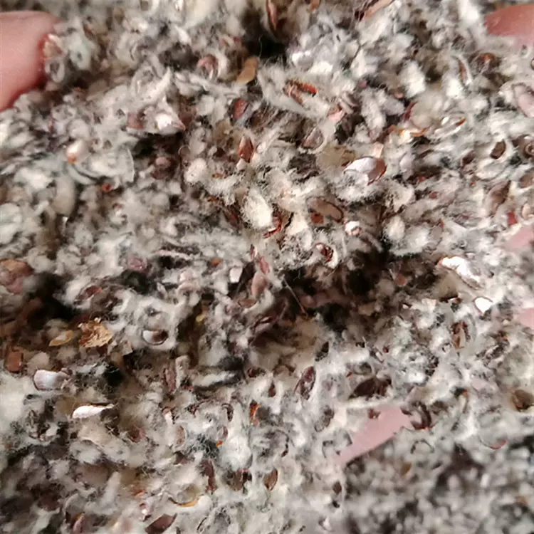 供应 新疆棉籽壳 蘑菇种植棉籽壳 油田钻井堵漏棉籽壳颗粒