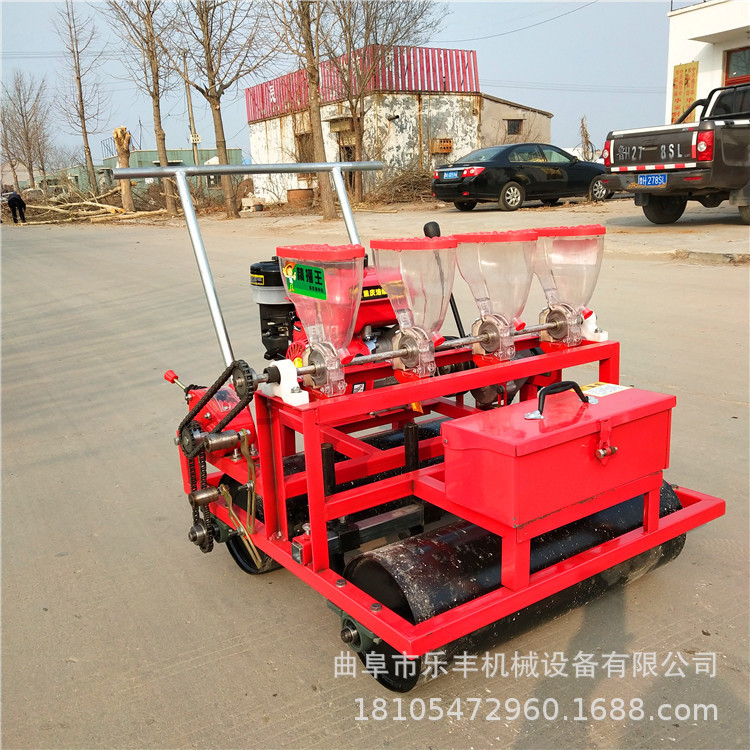 娃娃菜蔬菜播种机 小粒种子播种机 谷子萝卜精量播种机