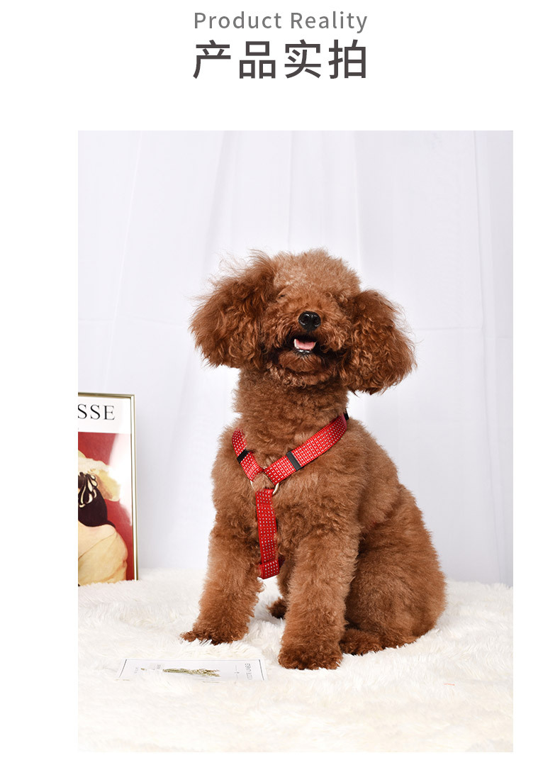 Dog Luminous Leash Pet Vest-style Chest Harness And Dog Leash Small And Medium Pet Products display picture 4