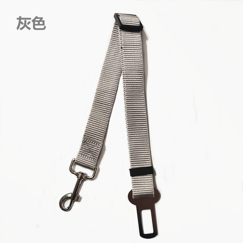 QQ图片20191112184516_副的