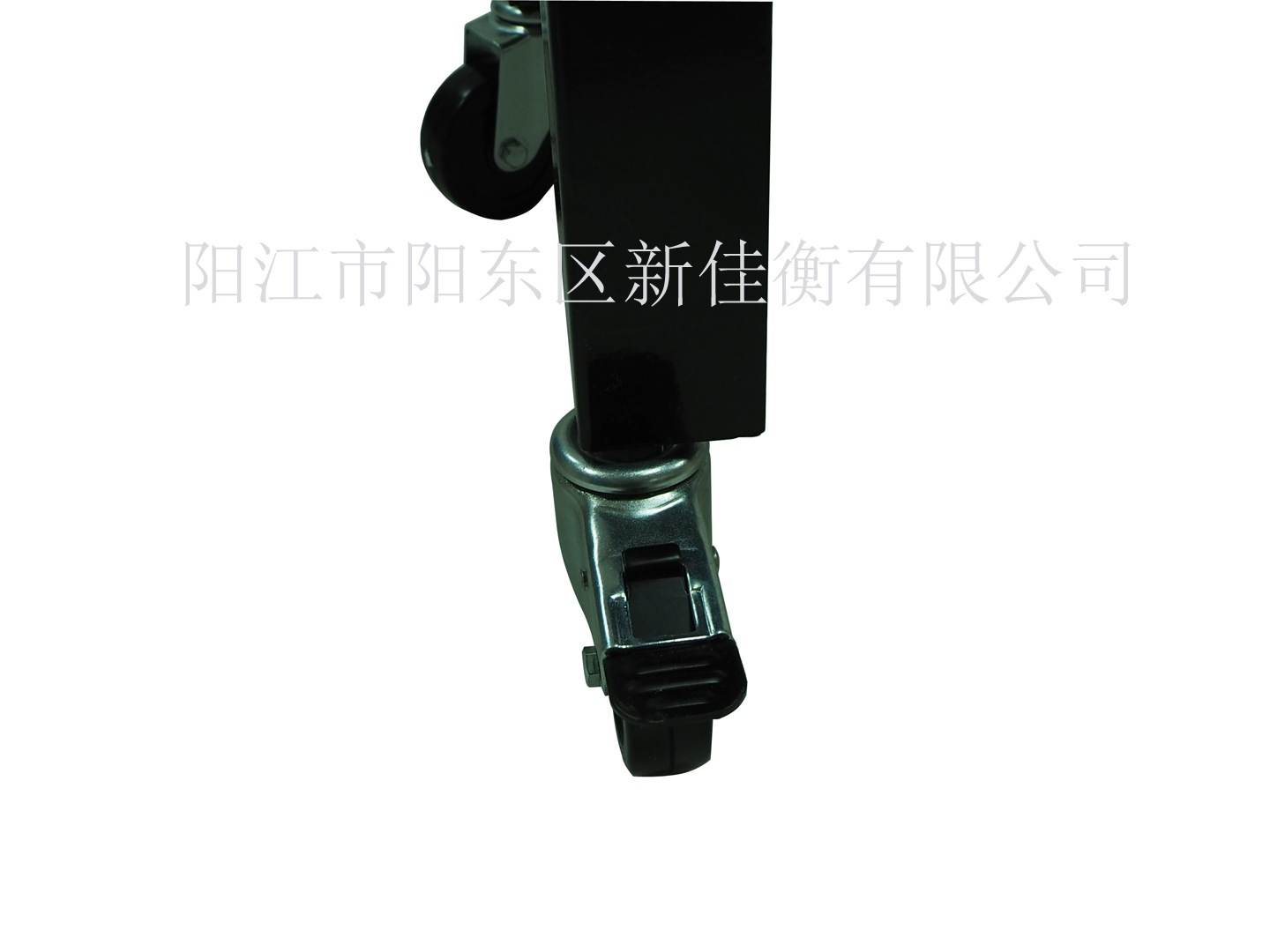 P1170185 P 加水印