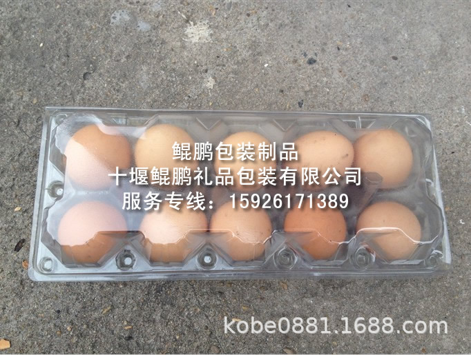 10枚装带盖吸塑蛋托1.jpg