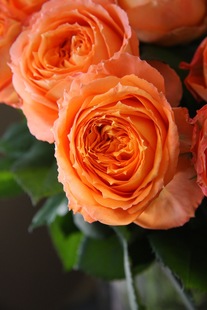 ��ɫ������¼���������ɫͥԺ�̨�ļ��_���^�����ܾGֲ���Ի�