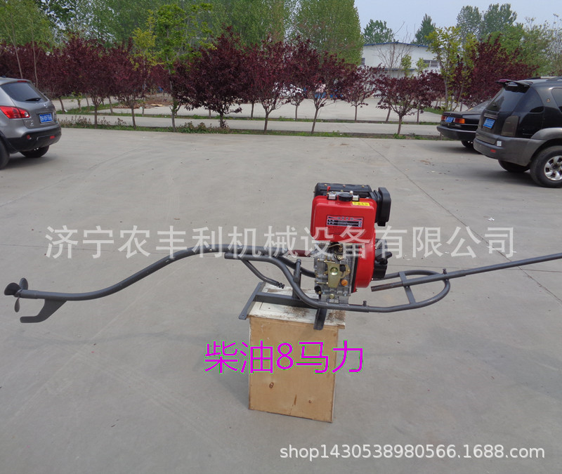 DSC06266_副本_副本