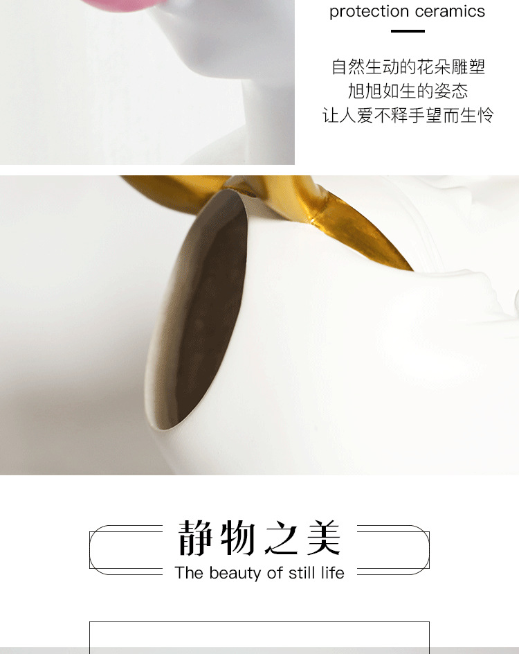 多肉吹泡泡齐全_09