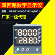 长期供应 WP-D821-000-2323-N WP-D821 双回路数字显示仪