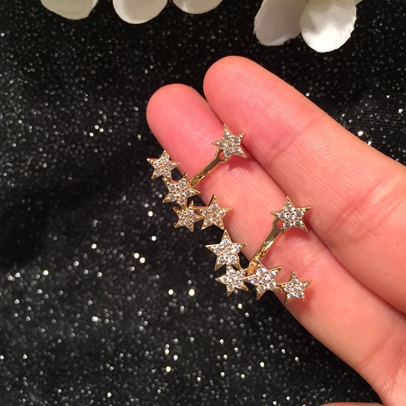 Starry Fashion S925 Silver Earrings display picture 4