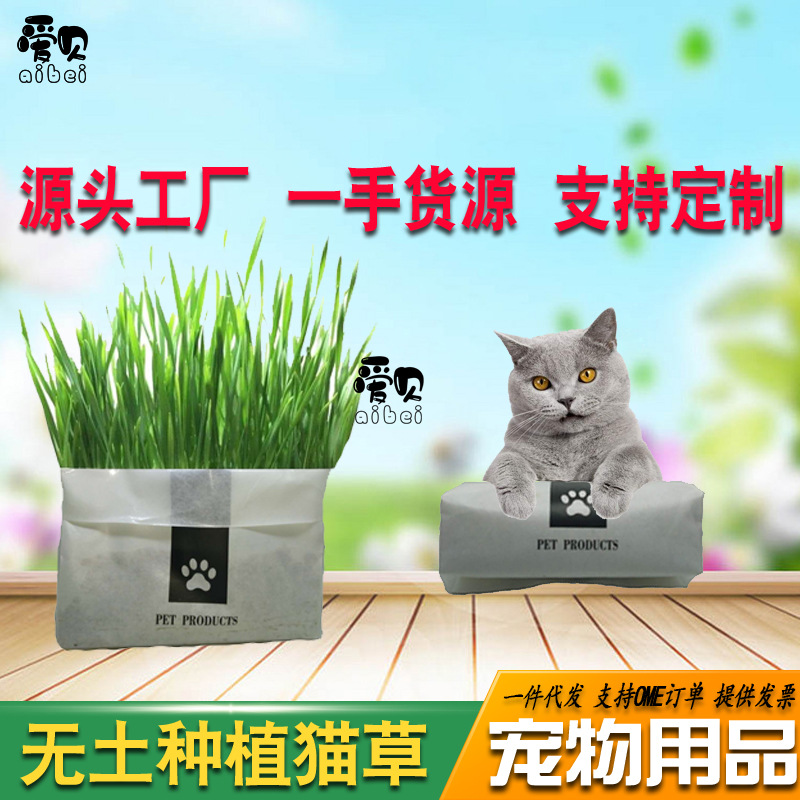 网红猫草小麦猫草种植猫咪零食调肠胃祛毛球网红懒人无土猫草