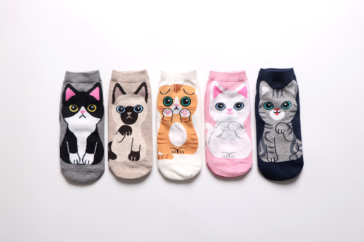 Women&#39;s Cotton Socks Wholesale Cute Cartoon Cat Female Boat Socks Fashion Wild Short Socks display picture 18