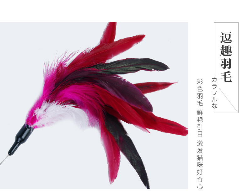 彩色羽毛逗猫棒_07.jpg