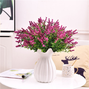 ������ĭ޹�²ݻ�����c�û�����ݿ͏d�Ҿ��k���������b�廨