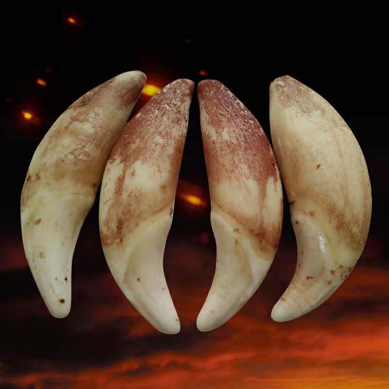 微信图片_20190128175215