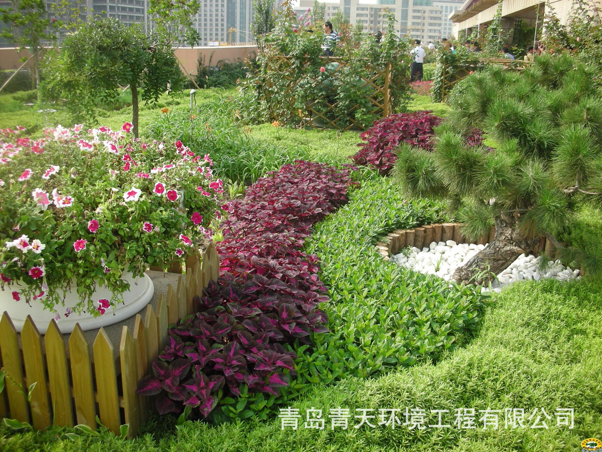 一體化雨水處理設(shè)備