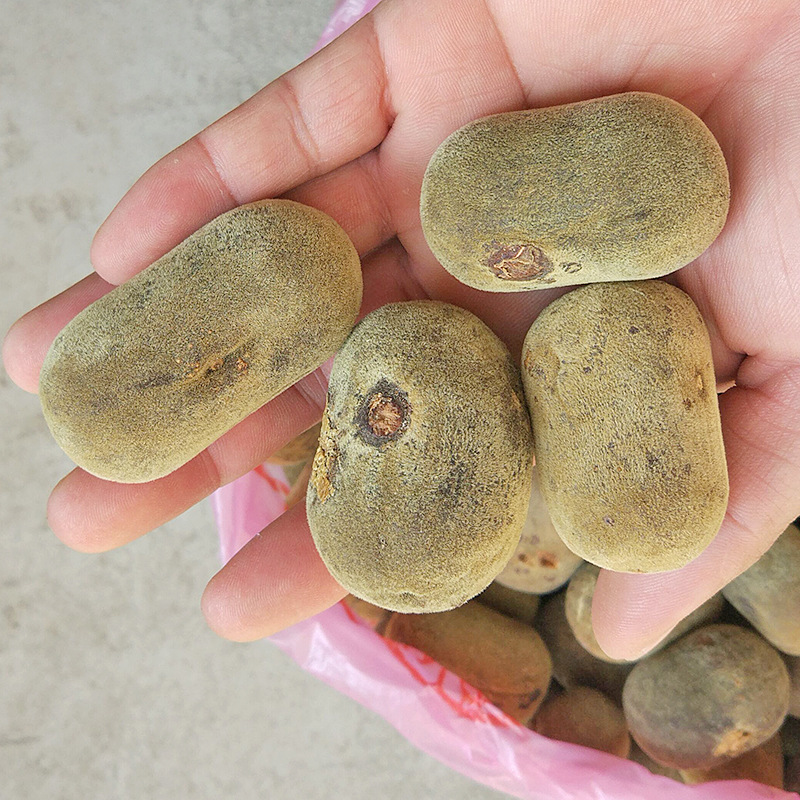 Aged Huazhou Tangerine Peel Slices Chen Pi Hua Zhou Ju Hong Citrus Grandis Traditional Herbal Tea 40g key features