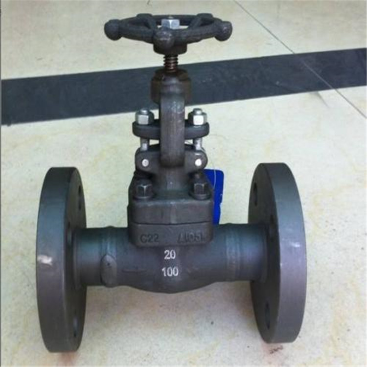 Z41Y-16-25-40-64-100-160-320锻钢闸阀A102 A105不锈钢高压闸阀