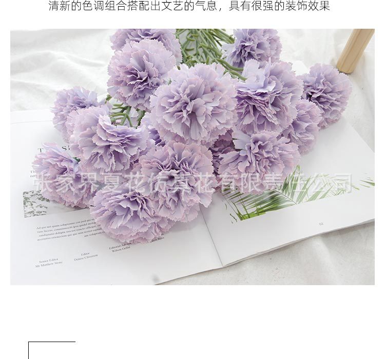 详情图_31.jpg