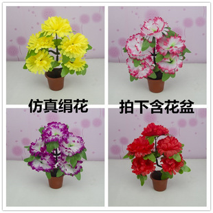 �����軨�����ω����滨���ջ��ٻ�Ĺ������ǰ���������l���۽���
