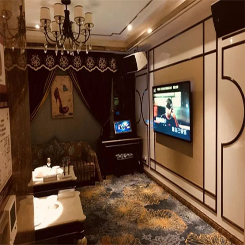 KTV酒吧卡拉OK夜总会·卡包音箱 专业音响生产厂家供应