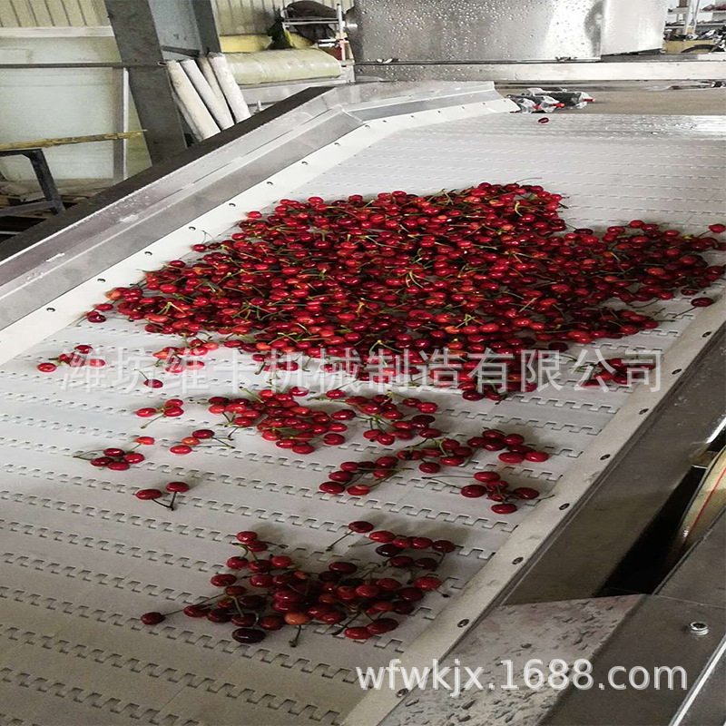 樱桃清洗机.jpg