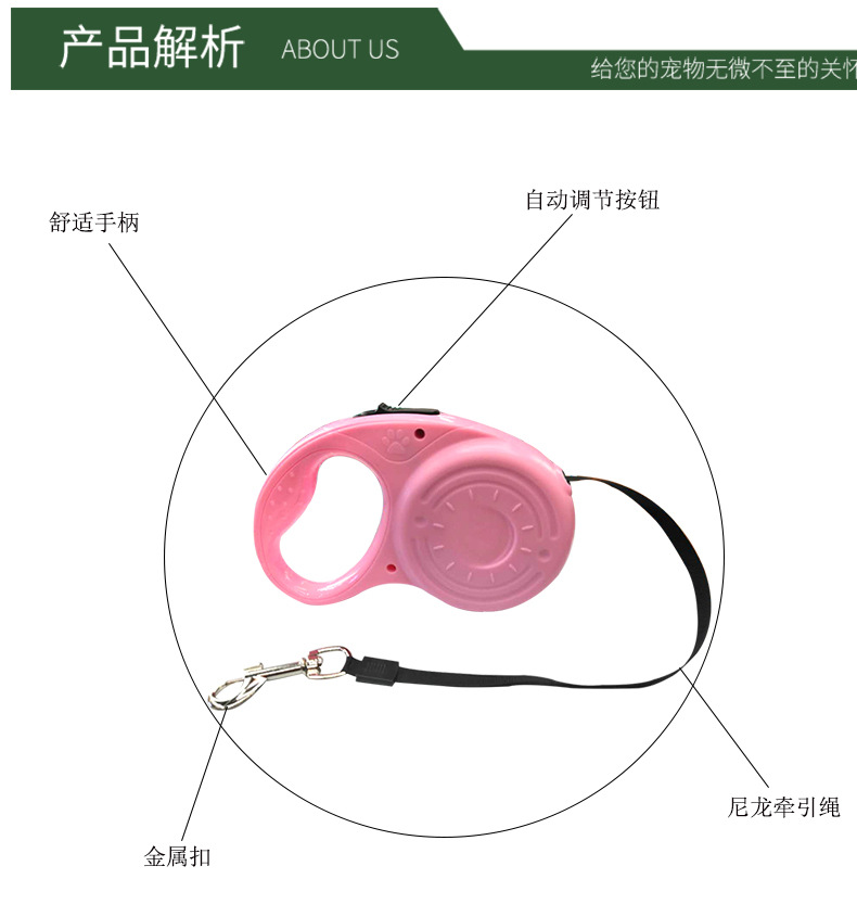 工厂直销宠物牵引绳 狗狗自动牵引器 糖果色3米5米牵引绳现货批发详情5