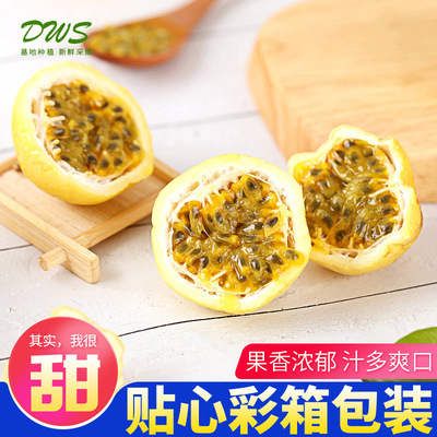 黄金百香果3斤5斤漳州产地台湾百香果 现摘鸡蛋果一件代批发|ms